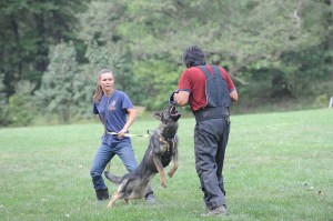 pittsburgh dog training and german shepherd dogs