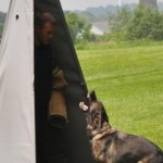 Pittsburgh dog training and German Shepherd Dogs